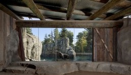 Fresno Chaffee Zoo Sea Lion Cove