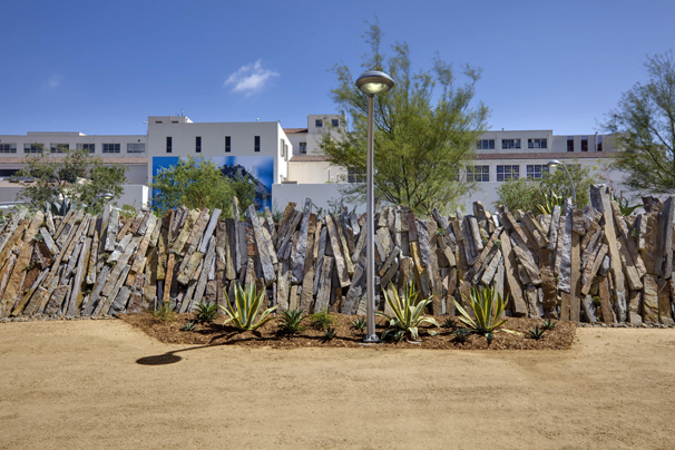 Landscape at the Natural History Museum of Los Angeles