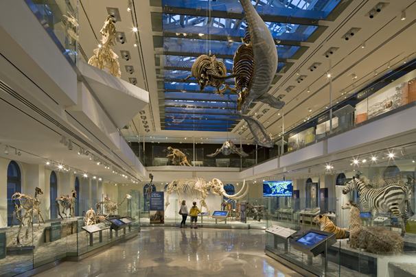 New skylights and mezzanine in exhibit hall