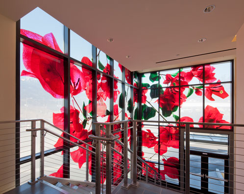 The signature bougainvillea-patterned glass curtainwalls were designed by NY-based artist, Amanda Weil. Photo by Benny Chang, Fotoworks.