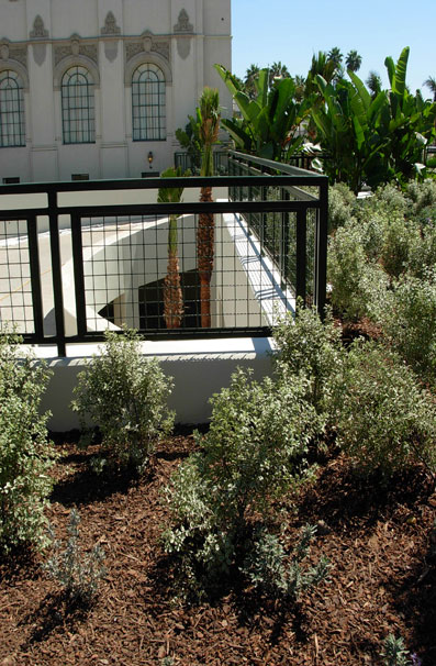 With its fillip of 3 palm trees poking up from the Crescent Drive Garage's light and air well, even the helical ramp seems to blend in with its surroundings,