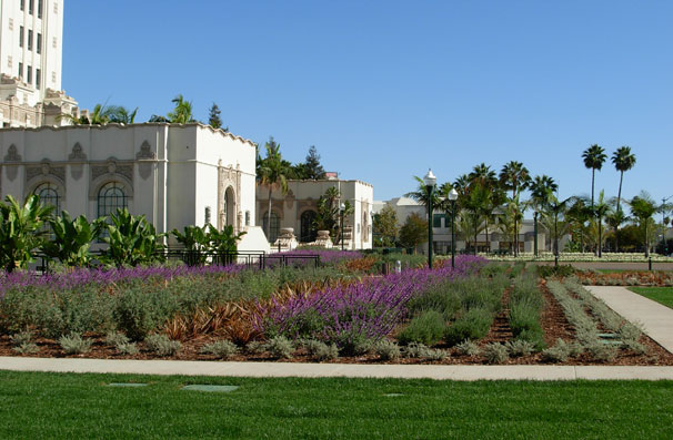 The new landscape demonstrates the beauty possible with drought-tolerant plants.