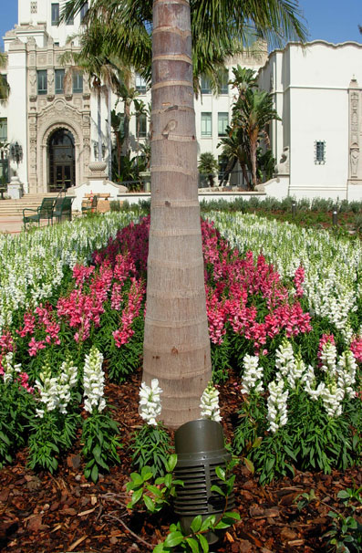 In the new garden designed by landscape architects Pamela Burton & Company, flowers and masses of color provide a cheerful greeting to visitors.