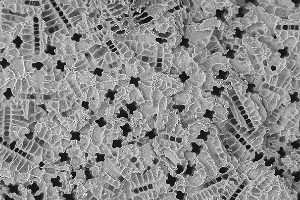 Hierarchical Porosity by Pre-ceramic Polymer Freeze Casting