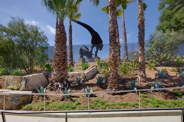 The Dueling Dinos' new mounting works well with the boulders that are a recurring theme in NHM's North Campus garden.