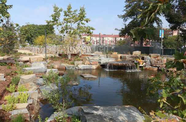 Boulders like these are a signature feature of NHM's new North Campus garden.