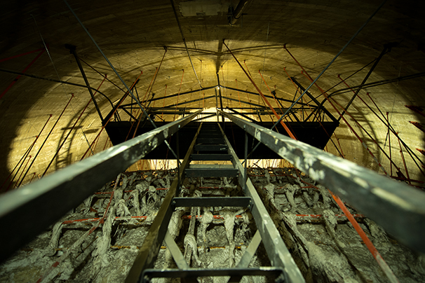 Precarious ladder allows worker access between the outer roof dome and the inner ceiling dome.