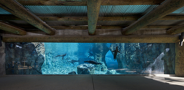 Giant acrylic underwater viewing window