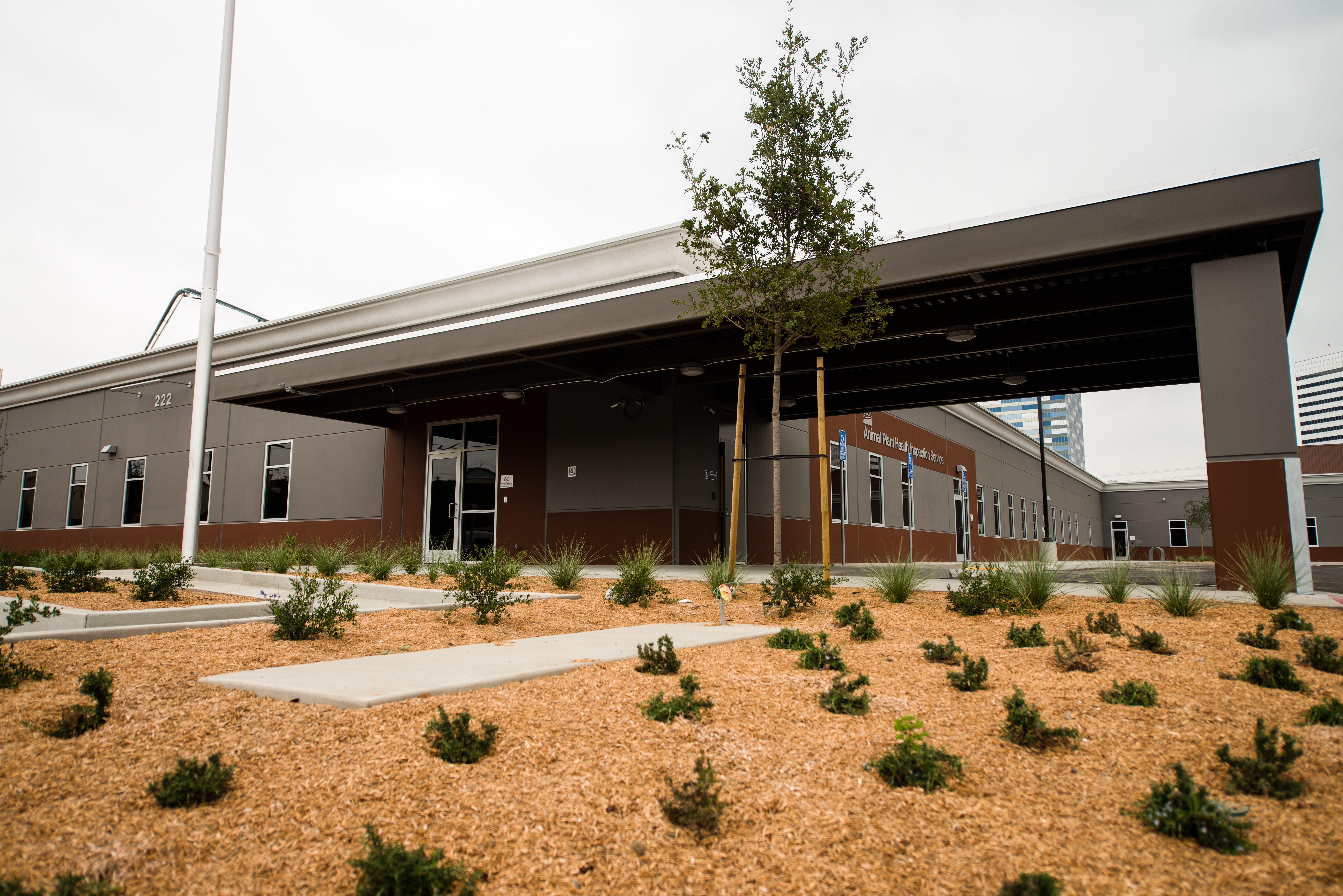 MATT construction USDA APHIS Building Exterior landscaping