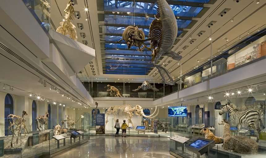 Natural History Museum Of Los Angeles County Careers Natural History Museum Of Los Angeles County Careers