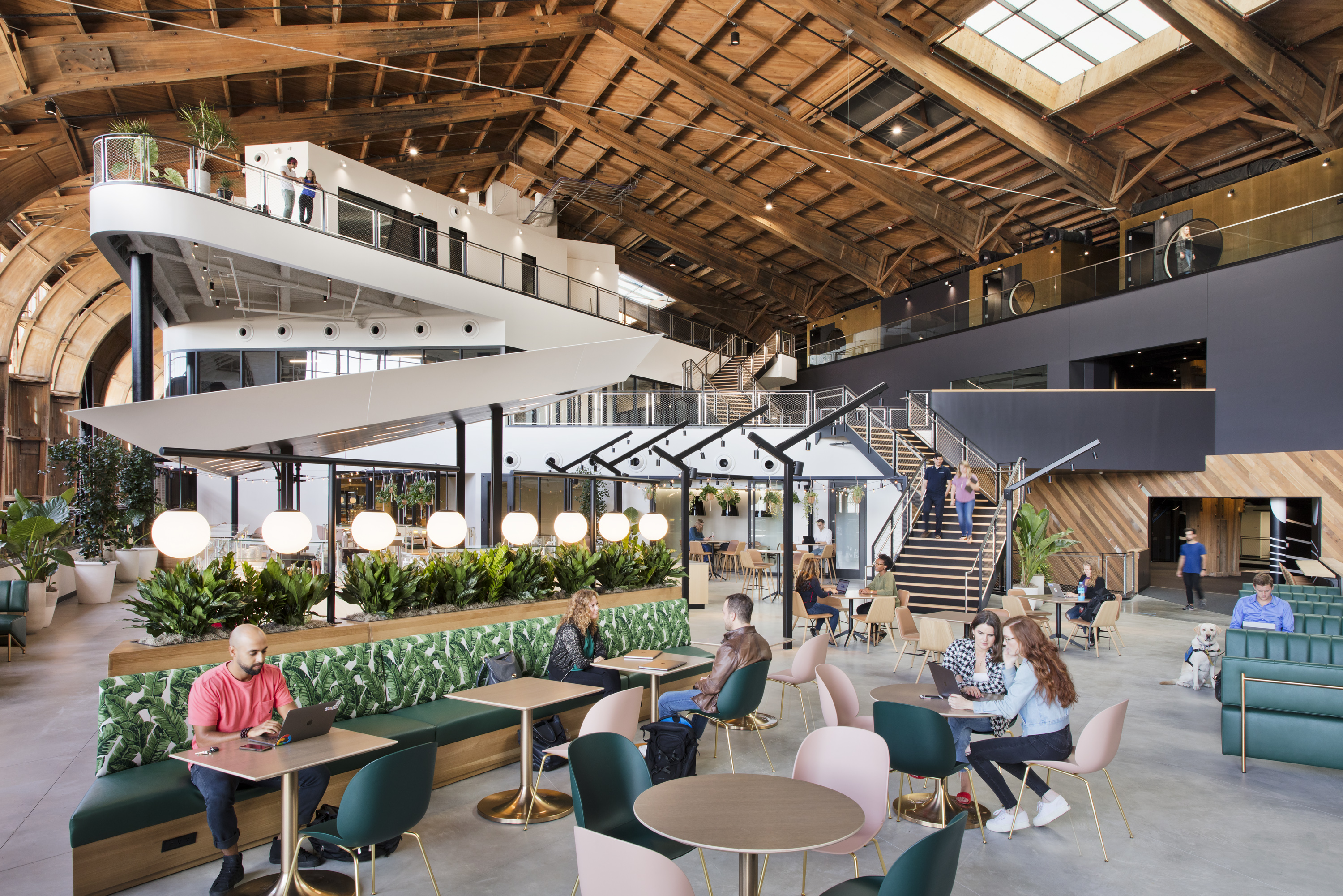Google Spruce Goose interior MATT Construction