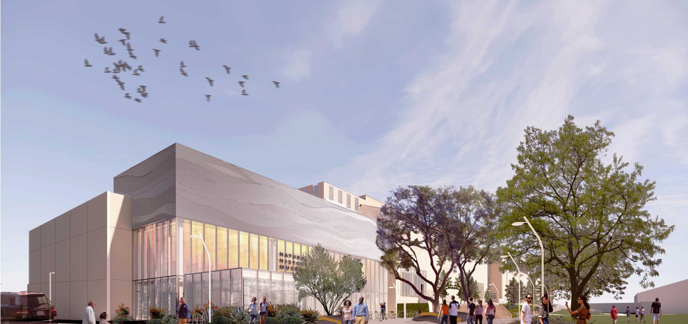 NHM Commons Project Rendering